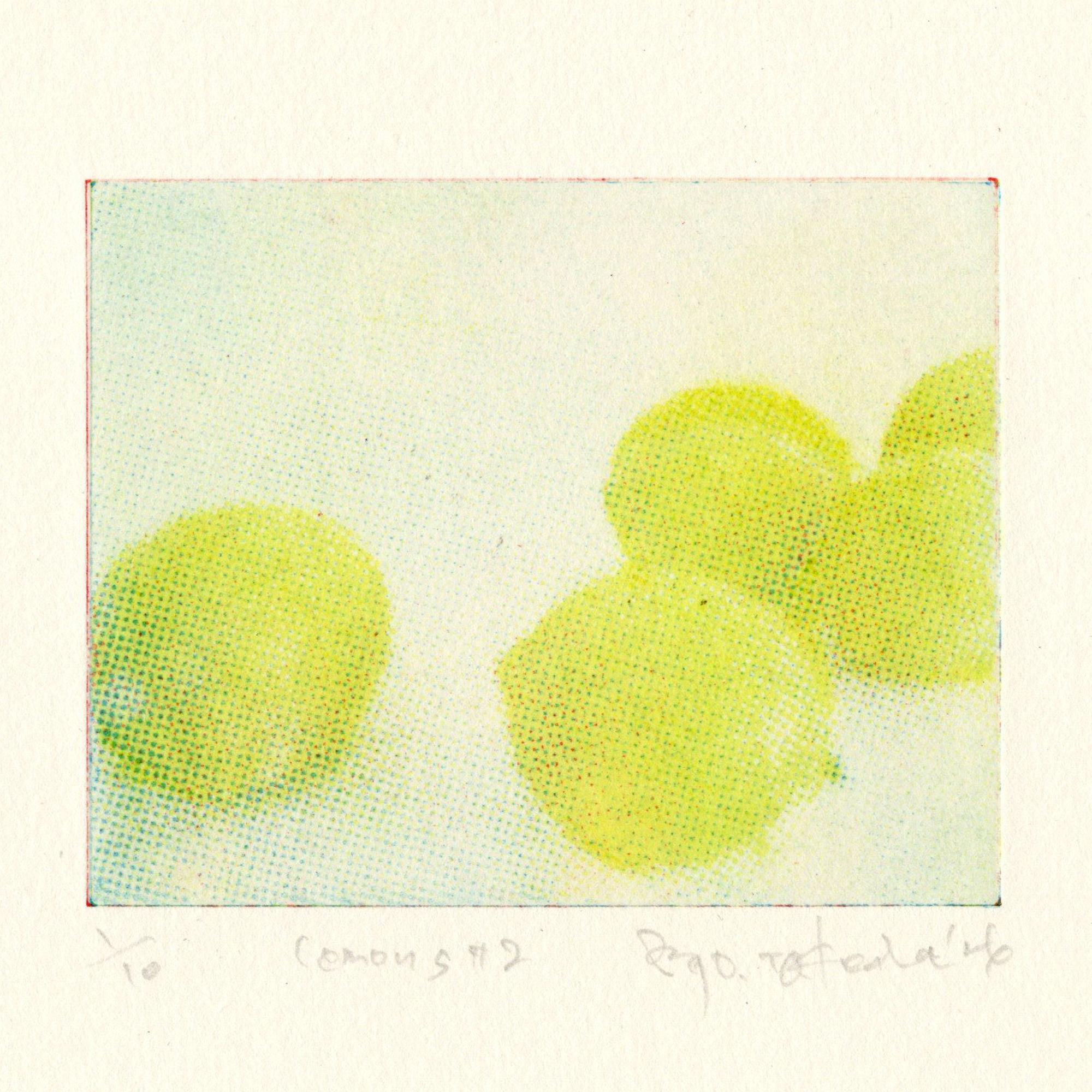 版画 "lemons #2"（額装） | 2枚目