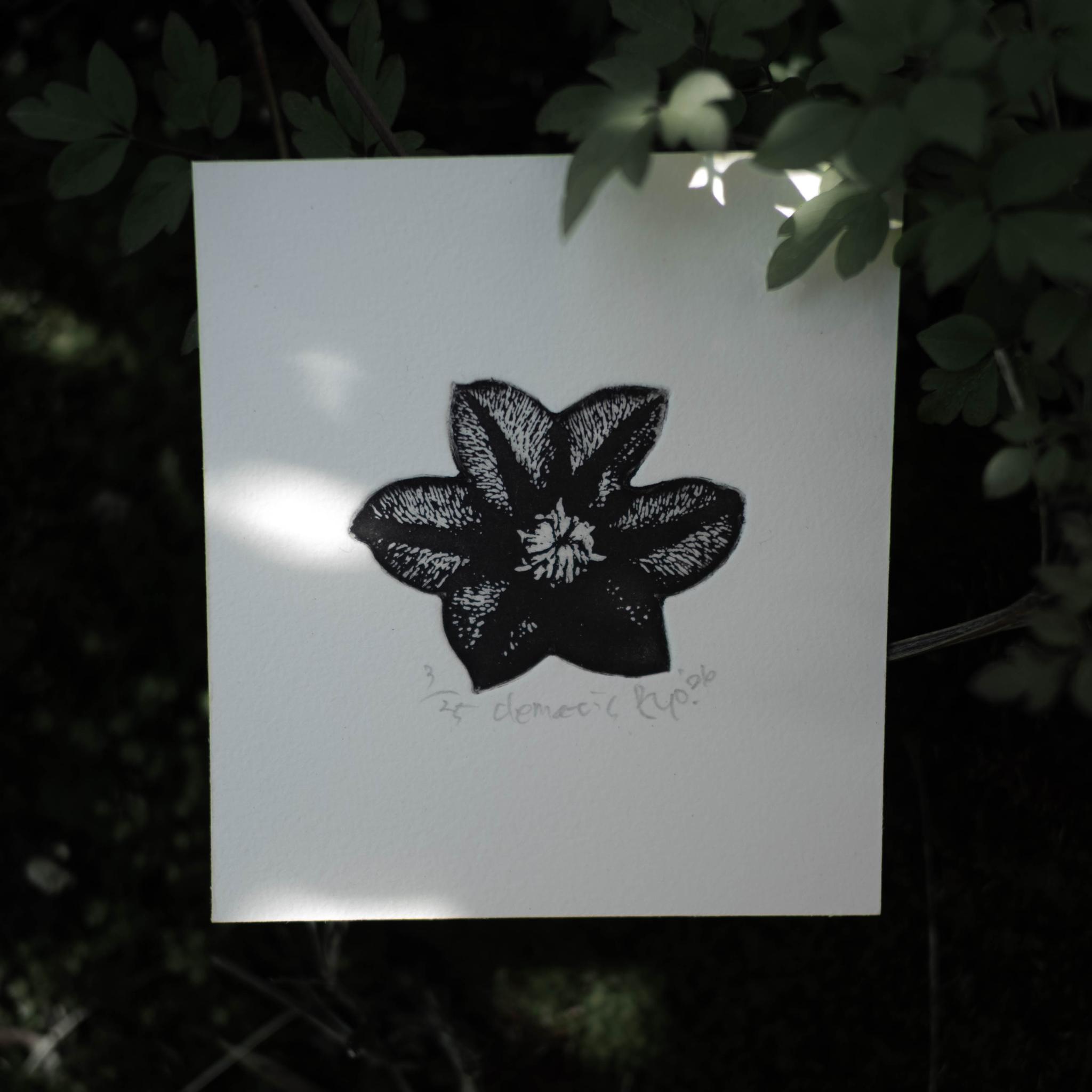 版画ゆうびん no.37 'clematis'(銅版画)1枚目の画像